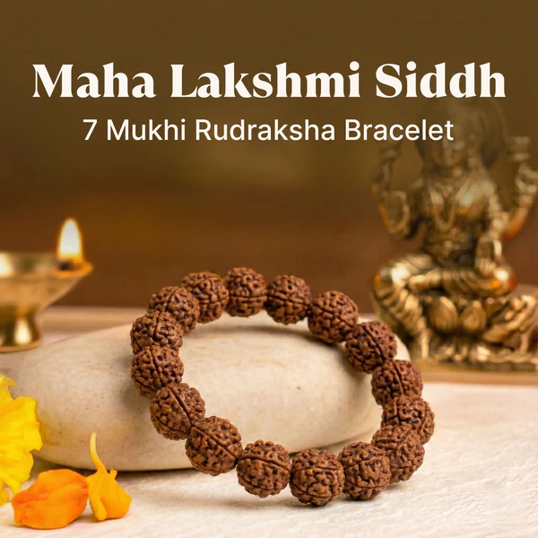 7_Mukhi_Rudraksha_Bracelet (1) Maha Lakshmi Siddh 7 Mukhi Rudraksha Bracelet - Image 1