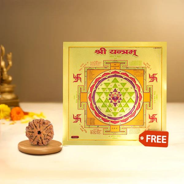 Artboard_9__1_1 7 Mukhi Rudraksha with FREE Shree Yantra (6*6 inch) - Image 1