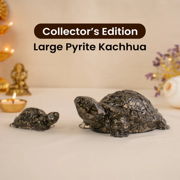 image_7_8a6adfb5-8a57-4393-8ed3-f899162b82ec Collector’s Edition Pyrite Tortoise (Kachhua) - Image 1
